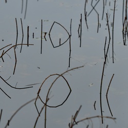 2018-11 Scotland/Aviemore/DSC_7642.JPG